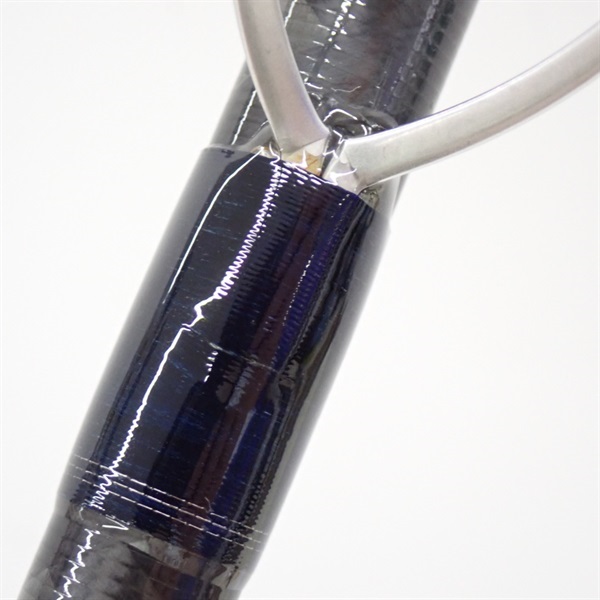 １７ネッサＢＢＳ１００８ＭＭＨ